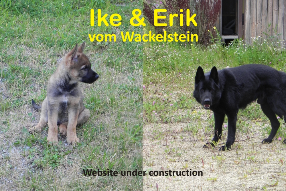 Ike & Erik vom Wackelstein